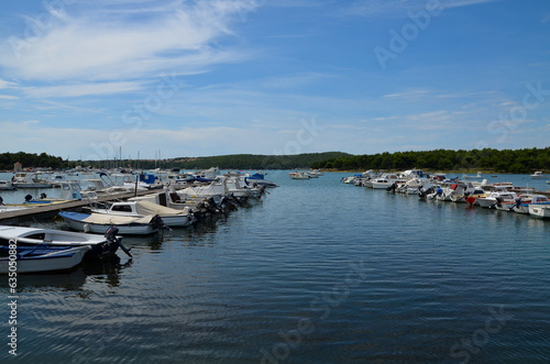 boats in the harbor