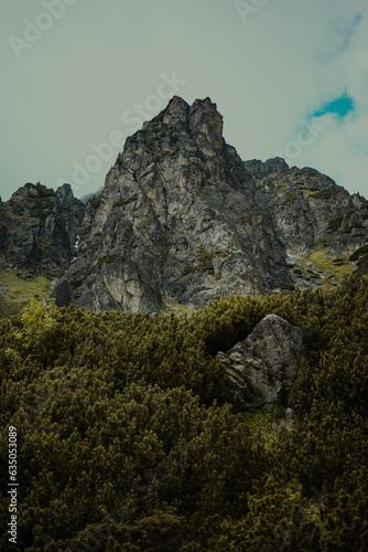 rocks in the mountains