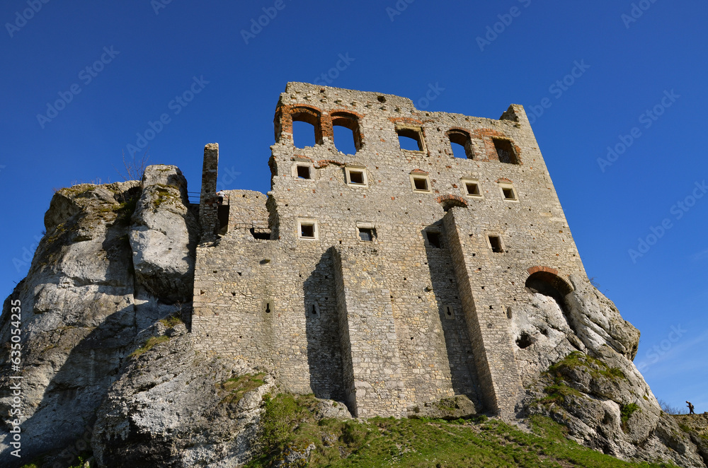 ruins of castle in Ogrodzieniec