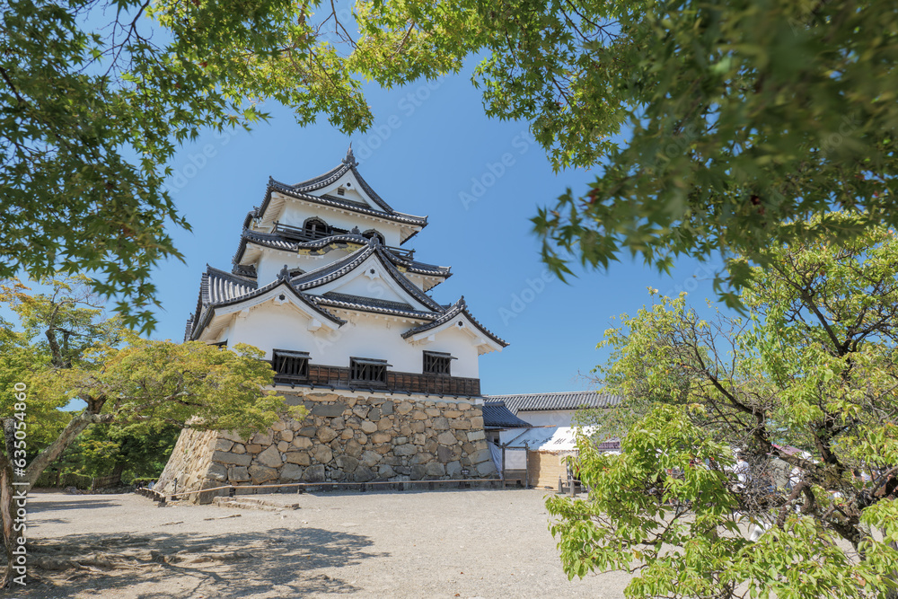 Naklejka premium 夏の彦根城天守閣 滋賀県彦根市