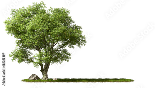 Copy-space cut out greenery big trees on grassy transparent backgrounds 3d rendering png file