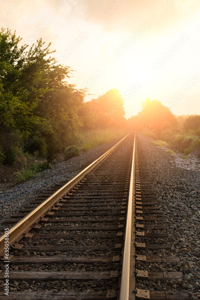 Fototapeta premium Railroad Tracks to the Sun 