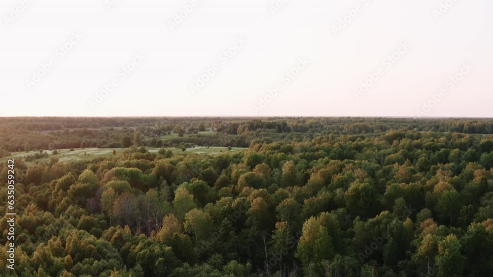 Deciduous forest at sunset in summer drone view Deciduous forest at sunset in summer drone view