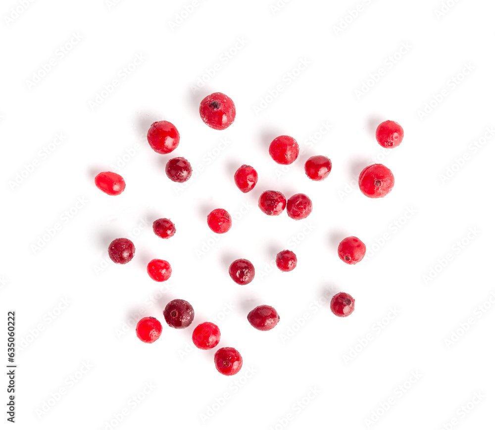 Frozen Lingonberry, Iced Cowberry, Snow Cranberry, Red Viburnum Berries, Frozen Lingonberry Frozen Lingonberry, Iced Cowberry, Snow Cranberry, Red Viburnum Berries, Frozen Lingonberry