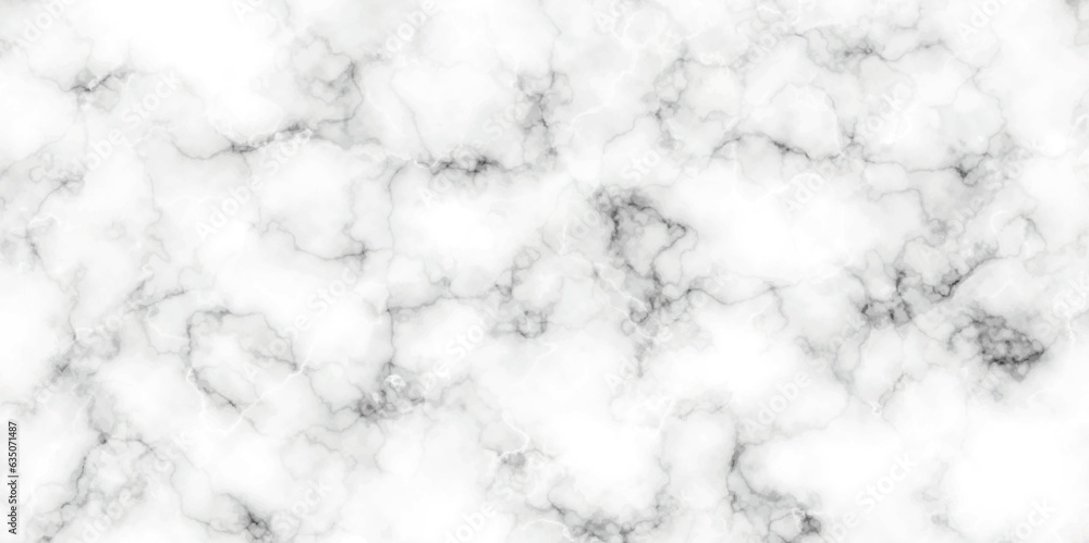 Panorama white marble and black pattern texture. White stone marble texture background and marble texture background for high resolution, luxurious material interior or exterior design. Panorama white marble and black pattern texture. White stone marble texture background and marble texture background for high resolution, luxurious material interior or exterior design.