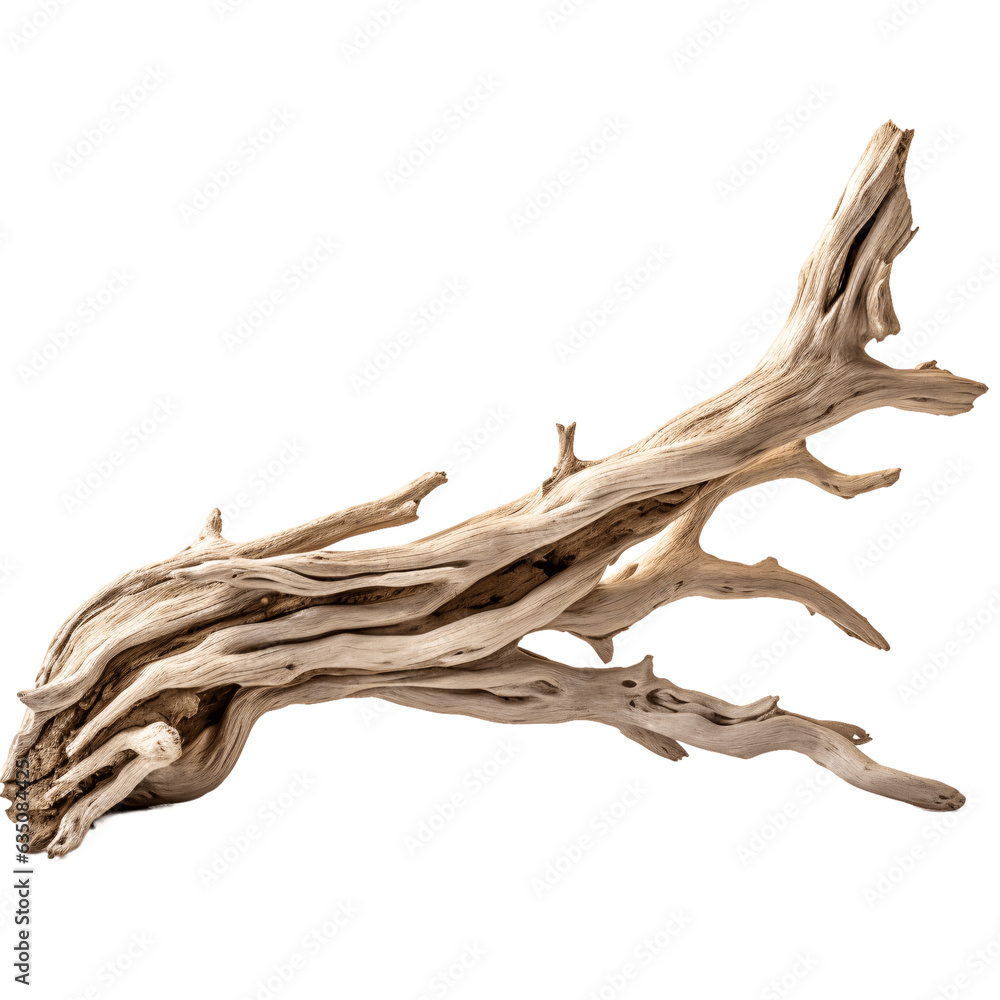 Driftwood isolated on transparent background Driftwood isolated on transparent background