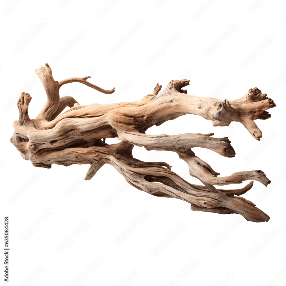 Driftwood isolated on transparent background Driftwood isolated on transparent background