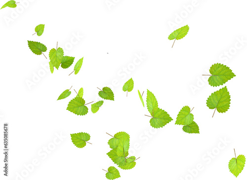 3D Render Leaves Floating in the Air