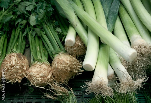 leeks and other root vegetables close up