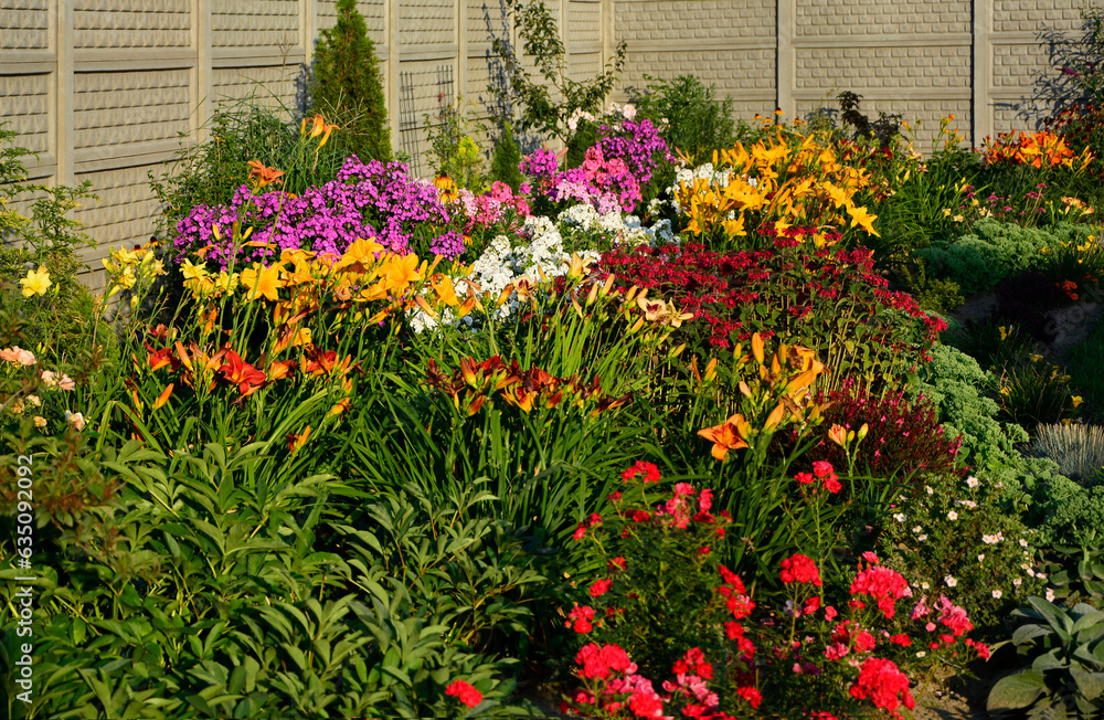 Pysznogłówka szkarłatna, liliowce i floksy wiechowate w ogrodzie (Monarda didyma, Hemerocallis i Phlox paniculata), ogród kwiatowy, ogród z kwitnącymi byliami, colorful flower bed