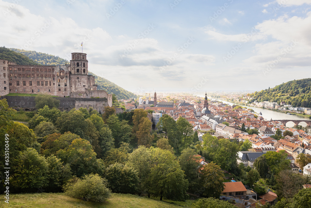 Das Heidelberger Schloss überblickt die Stadt