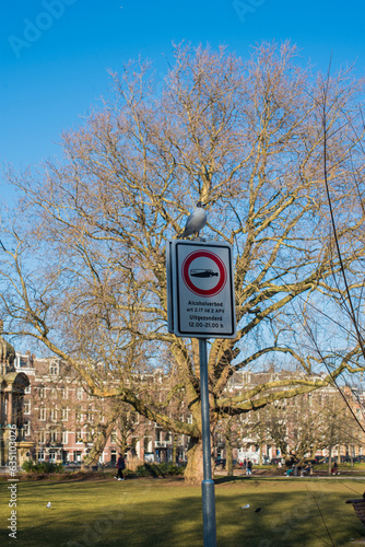 a grey seagull sitting on the sign