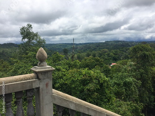 View Over Top of the Jungle Canopy
