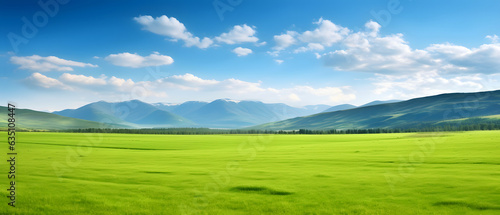 Expansive Green Grass Field: A Panoramic Natural Landscape