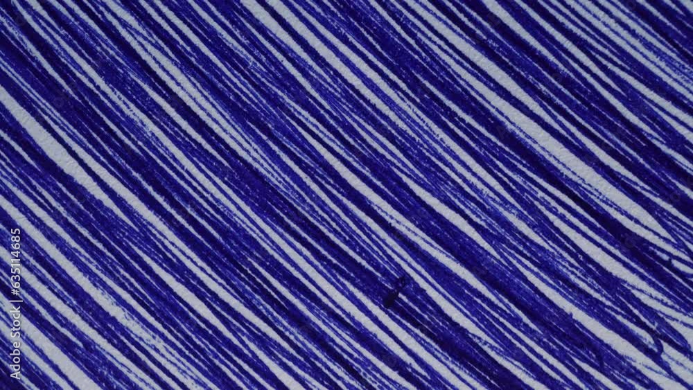 Blue Pen Sketch Background, Stop Motion, Looped Blue Pen Sketch Background, Stop Motion, Looped