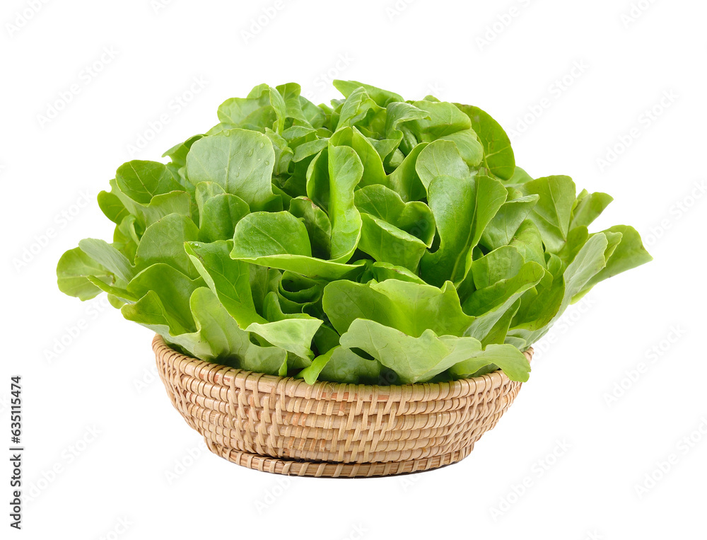 Green oak in the basket on transparent png Green oak in the basket on transparent png