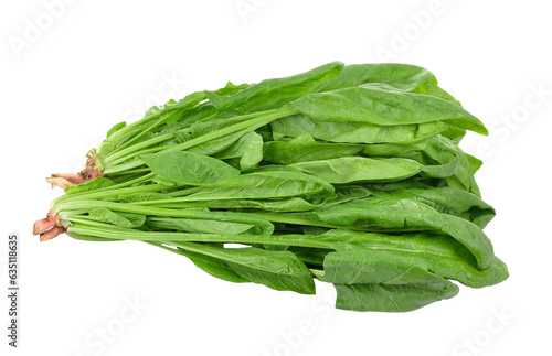 spinach on transparent png