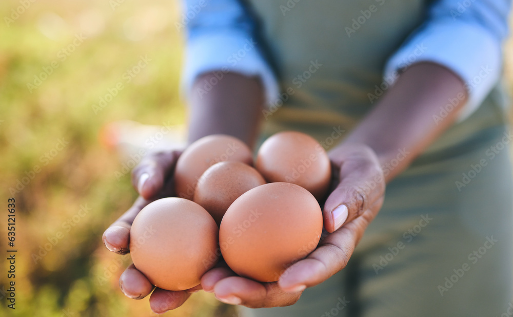 Eggs, farmer and hands in agriculture on sustainable farm or free range product for protein diet in nature. Food, health and person with organic nutrition from livestock on a field in the countryside Eggs, farmer and hands in agriculture on sustainable farm or free range product for protein diet in nature. Food, health and person with organic nutrition from livestock on a field in the countryside