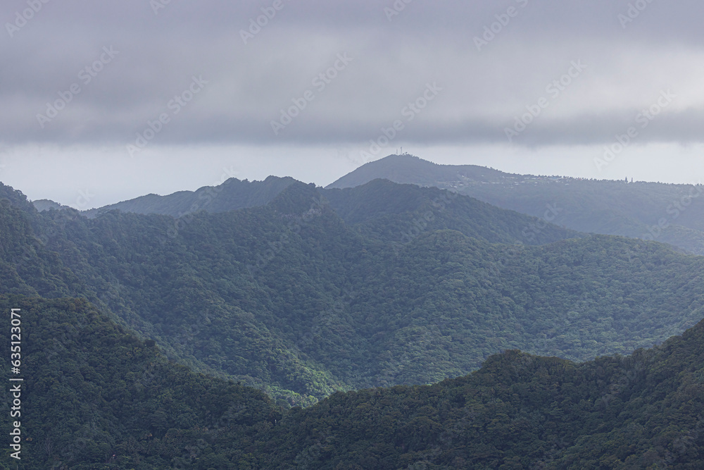 Beautiful landscape view of the National Park of American Samoa on the island of Tutuila.