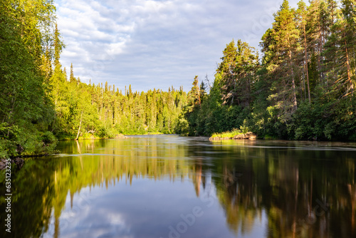 summer landscape with river