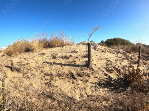 Alambrada en duna de arena desértica