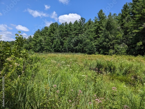 Massachusetts Landscapes 