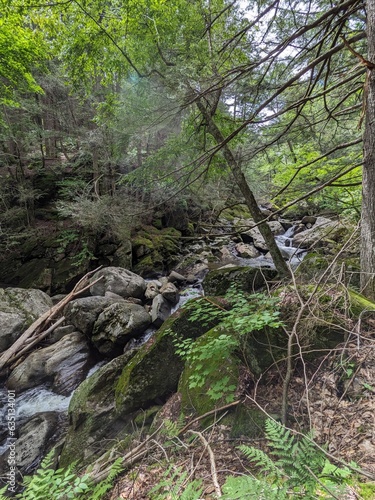 Massachusetts Landscapes 