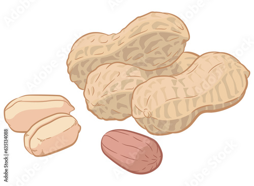Peanuts Seed Groundnuts Pod Shell Cartoon