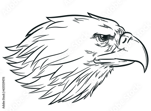 Sketch Eagle Head Side View Profile