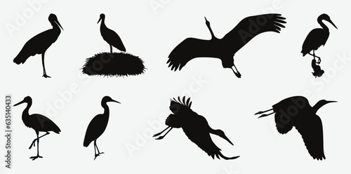 Captivating Silhouettes of Majestic Stork Birds in Various Poses  A Vector Collection of Graceful Avian Forms