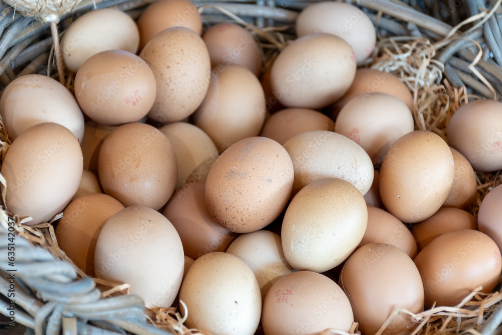 Organic brown chicken eggs from free-range farm in wicked basket Organic brown chicken eggs from free-range farm in wicked basket