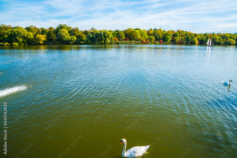 Germany, Stuttgart panorama view colorful trees at coast of max eyth see lake water with white swan and sailboat in autumn season at sunset