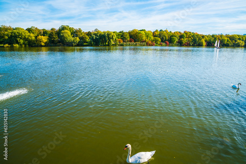 Obraz na płótnie Germany, Stuttgart panorama view colorful trees at coast of max eyth see lake water with white swan and sailboat in autumn season at sunset w salonie