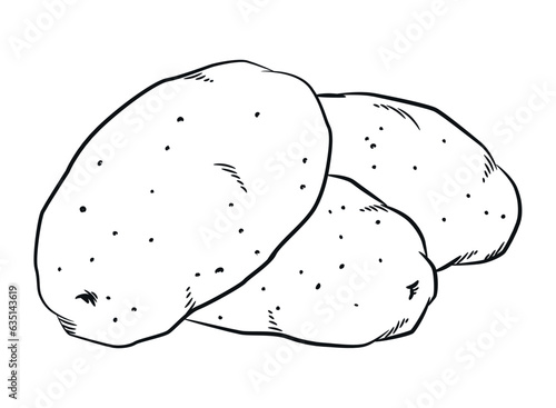 Sketch Raw Potato Starchy Carbohydrates Ingredient
