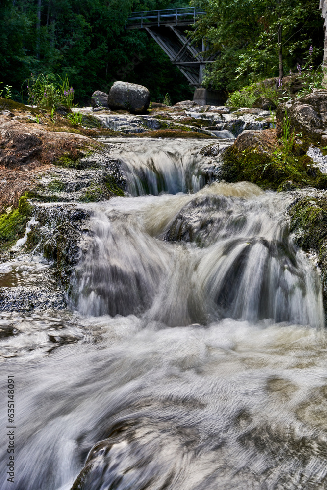 stream in the forest