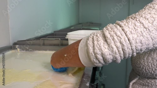 Hand of a Female Dairy Plant Worker Skimming The Cream Off Pasteurized Milk. Dairy Plant Worker On Cream (Clotted Cream) Separation Production Line. Dairy Products Manufacturing Plant. photo