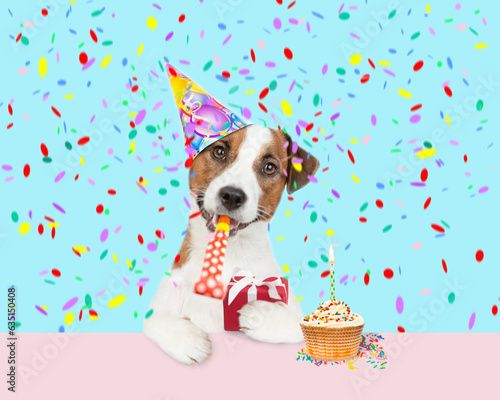 jack russell terrier puppy wearing party cap blows into party horn holds gift box