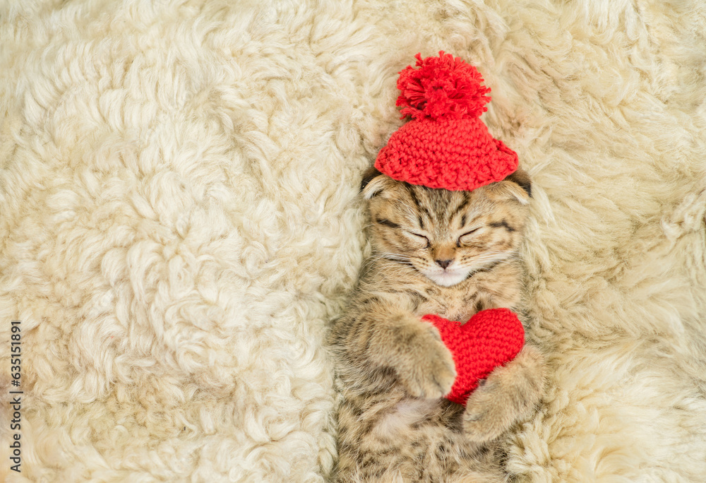 Cute fold tabby kitten wearing warm hat hugs red heart on the bed at home. Valentines day concept. Top down view. Empty space for text Cute fold tabby kitten wearing warm hat hugs red heart on the bed at home. Valentines day concept. Top down view. Empty space for text