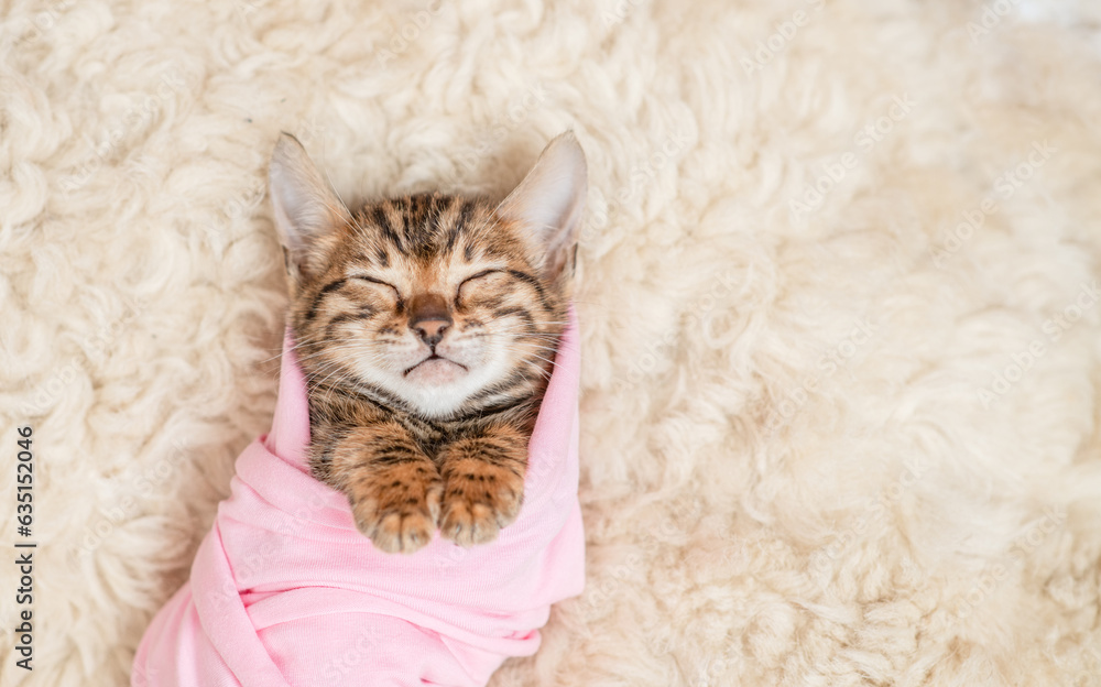 Tiny newborn bengal kitten wrapped like a baby sleeps on a fur bed. Top down view. Empty space for text Tiny newborn bengal kitten wrapped like a baby sleeps on a fur bed. Top down view. Empty space for text