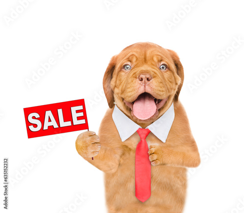 Smart Mastiff puppy wearing  necktie shows signboard with labeled "sale". isolated on white background