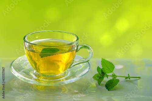 Green tea with mint leaves in a glass cup on green summer background.