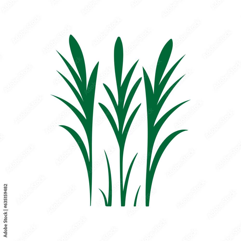 Fototapeta premium green grass illustration