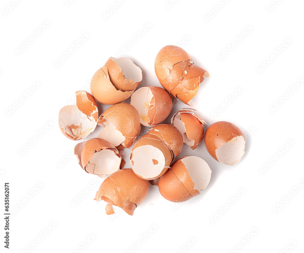 Broken Egg Shell, Crushed Eggshell, Calcium Supplement, Cracked Eggshells, Compost Ingredient Broken Egg Shell, Crushed Eggshell, Calcium Supplement, Cracked Eggshells, Compost Ingredient