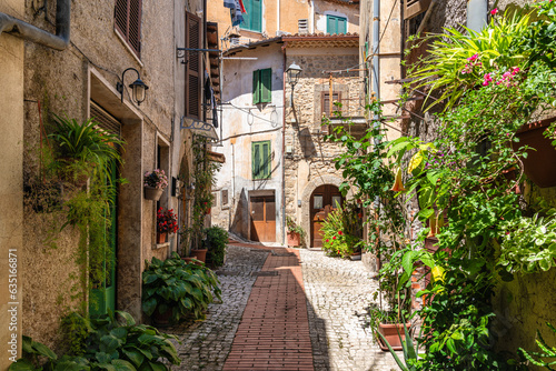 Fototapeta Naklejka Na Ścianę i Meble -  A beautiful sight in the picturesque village of Prossedi, in the Province of Latina, Lazio, Italy.