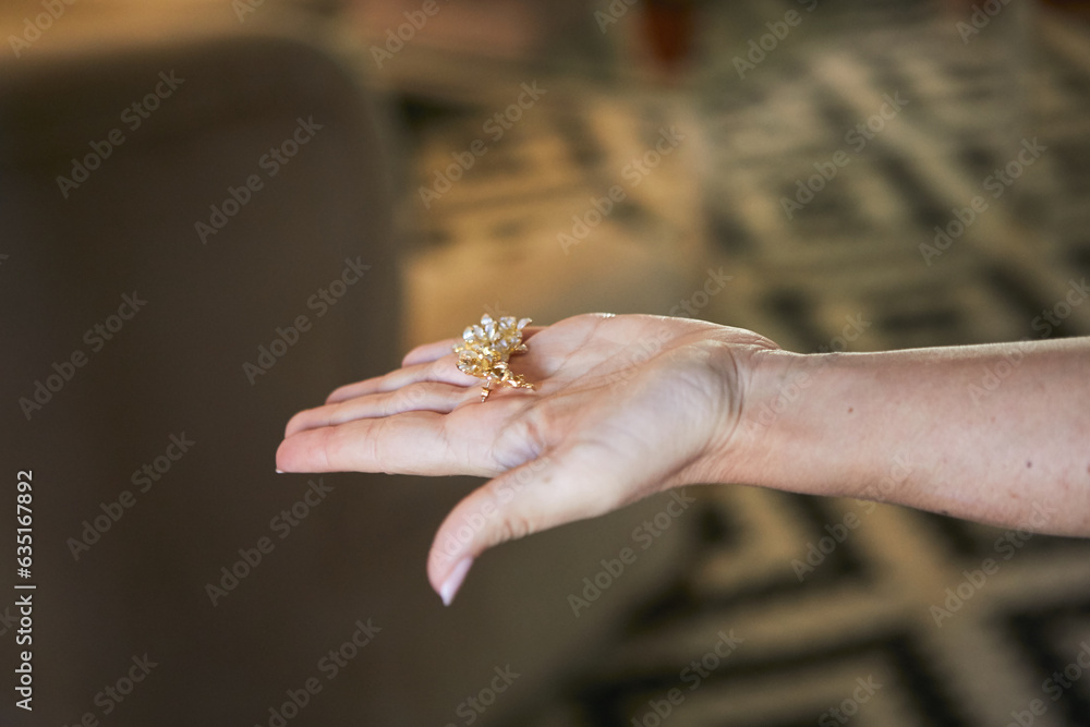 boda, novia, anillas, mano, amor, mujer, par, ceremonia, dedo, romance, dorada, compromiso, participación, alhajas