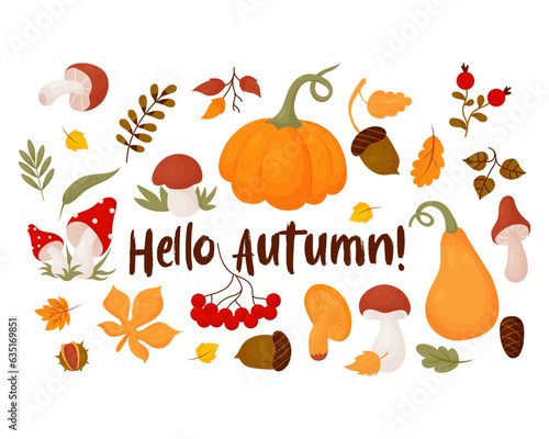 Hello, Autumn. Collection leaves, forest mushrooms, berries, cone, acorns, chestnut and mountain ash. Vector illustration. Isolated colored drawing in cartoon style for autumn design, decor.