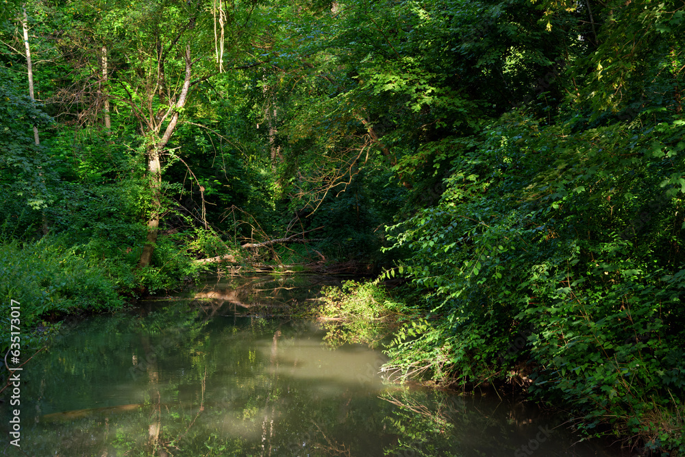 Orvanne river in Moret-Loing-et-Orvanne village. Orvanne river in Moret-Loing-et-Orvanne village.
