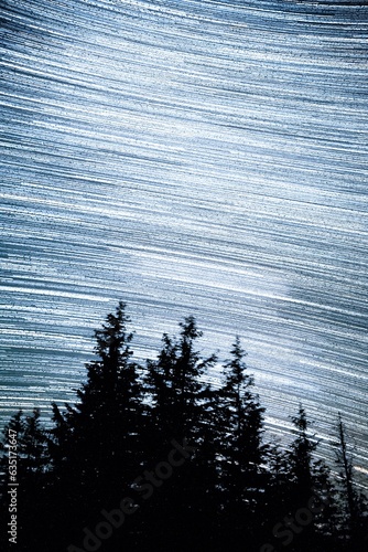 Obraz na płótnie Milky way over trees w salonie