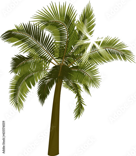 Palm with sun rays through foliage. Vector illustration of palm tree with bright sun breaking through leaves. Image of tropical palm tree in vector. Illustration of vector tree. 