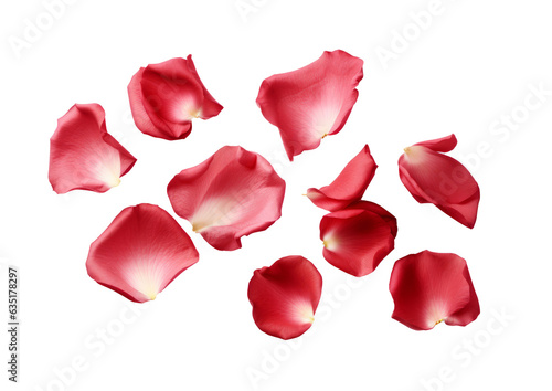 red rose flower petals scattered.